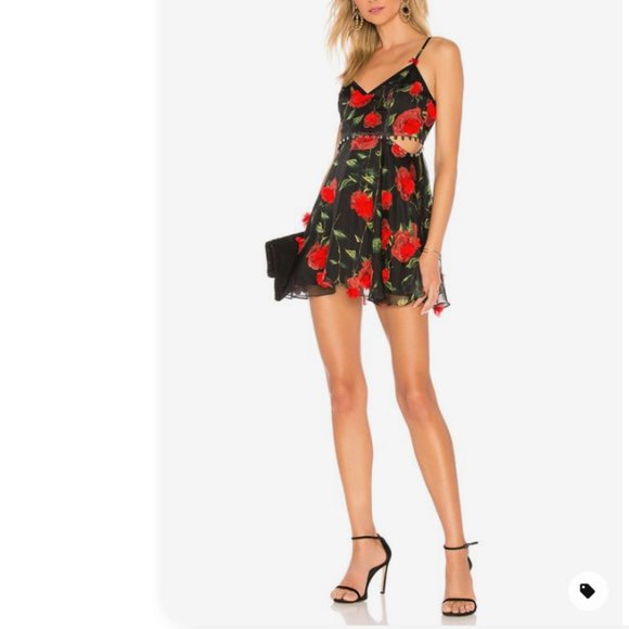 NBD Dresses & Skirts - Romeo Mini Floral dress NBD sexy flirty fun XS